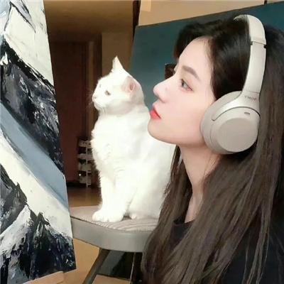 翩然而至